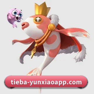 云霄体育 APP